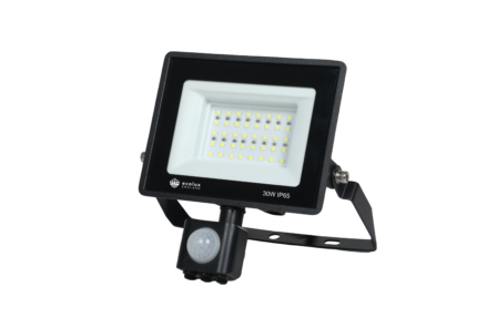FloodLight 30W PIR